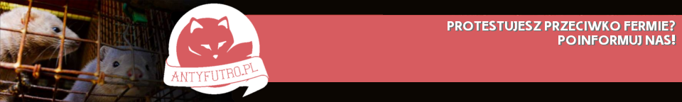 Protesty przeciwko fermom norek w Polsce
