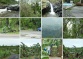 56 photos de dégats (électriques, plantations...) en milieu rural à Saint-Jospeh