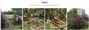 4 photos de dégâts sur les végétaux dans une demeure à Sainte-Marie