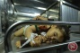 14-month-old Palestinian toddler, pregnant mother killed in Israeli airstrikes