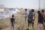 47 Palestinians injured during 71st Nakba Day protests in Gaza