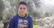 Palestinian Child Sentenced Over Stone Throwing