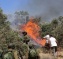 Illegal Colonists Burn Palestinian Farmlands Near Nablus