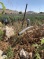 Water Series: IOF destroy farmland east of Hebron – ISM speaks to owner Ghassan Jaber