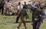 Olive Harvest Stolen by Settlers in Nablus