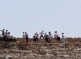 Illegal Settlers Attack Palestinian Picking Their Olive Trees Near Nablus, Injure One