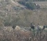 Illegal Israeli Colonists Attack Palestinians Picking Their Olive Trees In Burin