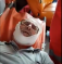 80-Year Old Israeli Rabbi Beaten by Right-Wing Israeli Settlers for Protecting Palestinian Farmers