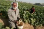 Farmer Forced Off Land near Nablus
