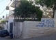 Illegal Settlers Paint Racist on Palestinian Homes, Slash Tires Near Bethlehem