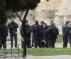 Soldiers Assault Three Palestinians, Abduct Them, In Jerusalem