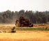 Israeli Soldiers Invade Lands, Open Fire At Farmers, In Gaza