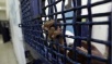 Palestinian Prisoner Contracts Coronavirus in Israeli Jail