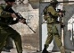 Israeli Troops Abduct 3 Palestinians, Seize 100 Sheep