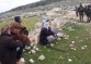 Israeli Settlers Assault Shepherds, Injure One