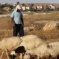 Israeli Military Issues Stop Work Orders for Palestinian-owned Homes, Barns in West Bank
