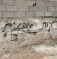 Illegal Israeli Colonists Attack Palestinian Property Near Ramallah