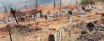 PLO: Israeli Withholding of Slain Palestinian Bodies, Immoral