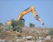 Israeli Soldiers Uproot 200 Olive Trees Near Salfit