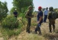 Second Attack Sunday: “Israeli Colonists Uproot 350 Olive Saplings Near Bethlehem”