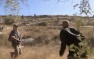 Fifty Israeli Settlers Attack , Injure Palestinian Farmers near Ramallah