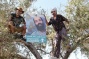 Israeli ‘Combatants for Peace’ Join Palestinians in Olive Harvest