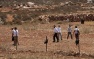 Israeli Settlers and Soldiers Attack Palestinian Villagers in Burin