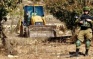 Israeli Soldiers Uproot Palestinian Lands Near Qalqilia