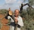 Israeli Colonists Uproot 100 Olive Saplings Near Nablus