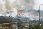 Israeli Colonists Burn Dozens Of Trees Near Nablus