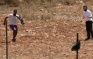 Israeli Colonists Assault An Elderly Man In Qalqilia