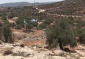 Soldiers Injure 400 Palestinians near Nablus