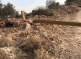 Israeli Colonists Destroy Main Power Line Near Nablus