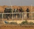 Israeli Army Abducts Four Palestinian Near Gaza Perimeter Fence
