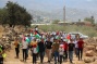 Updated: Palestinian Protests in Beita Attacked by Israeli Troops, 94 Injured