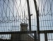 Israel Cancels All Visits To Palestinian Detainees In Its Prisons