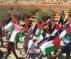 Updated: Israeli Soldiers Injure 90 Palestinians Near Nablus