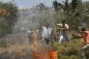 Israeli Colonizers Burn Olive Trees Near Nablus