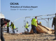 OCHA: Protection of Civilians Report | 19 October - 1 November 2021