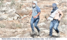 Settlers Attack Israeli Activists Helping Palestinian Farmers in West Bank