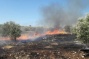 Israeli Colonizers Burn Fifty Olive Trees, Installed Two Mobile Homes, Near Hebron