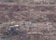 Israeli Soldiers Uproot 250 Olive Trees In Salfit