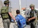 Army Detains Nine Palestinians, Including a Child Across the West Bank