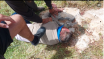 Israeli settlers assault, injure Palestinian American attending to his land