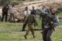 Israeli Colonizers Assault An Elderly Man Near Hebron