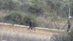 Israeli Soldiers Kill Palestinian Near Tulkarem