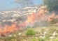 WAFA: “Israeli settlers torch wheat crops in Nablus-district town”