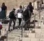 Israeli Soldiers Abduct Two Palestinians In Jerusalem And Tulkarem