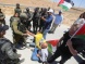 Israeli Soldiers Injure Many Palestinians, Abduct Mayor, Near Hebron