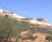 Israeli Colonizers Install Outpost Near Nablus